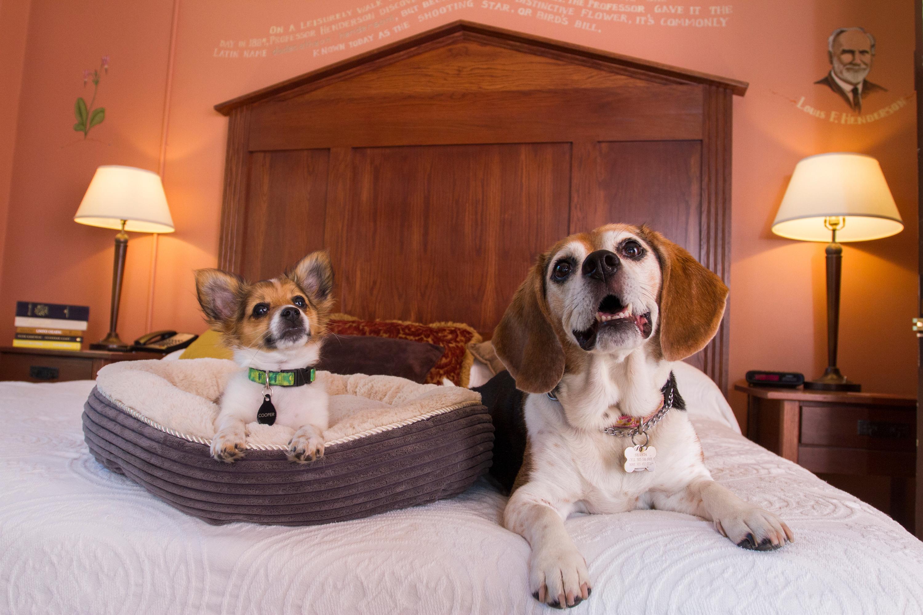 Mcmenamins Grand Lodge Forest Grove Bagian luar foto